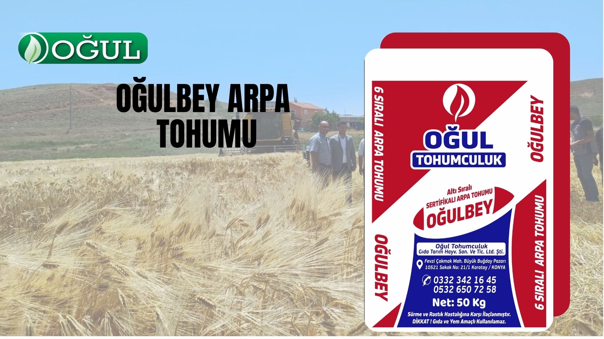 Oğulbey Arpa Tohumu