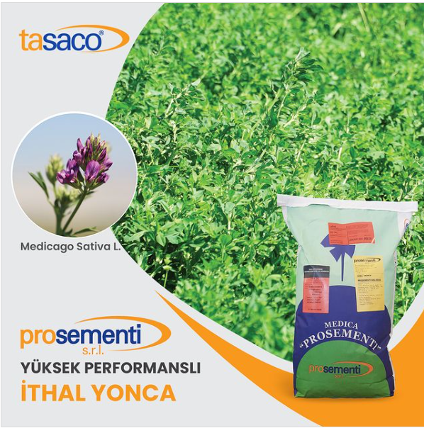 Prosementi Yonca Tohumu.